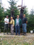 moose 2011